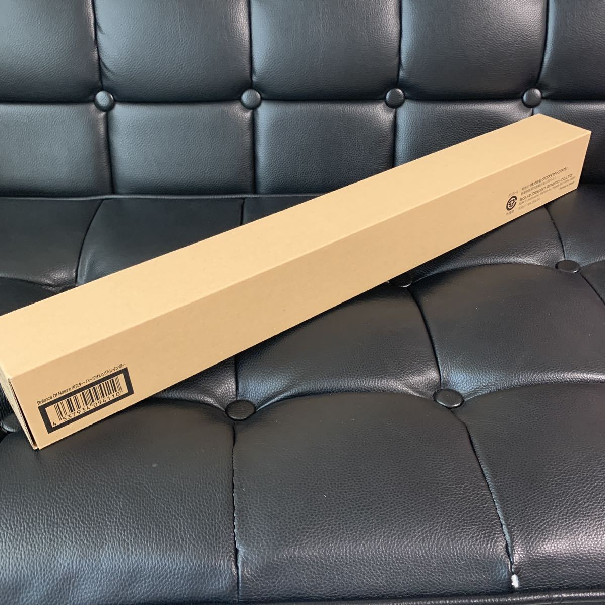 ADA】新品未開封 Balance of Natureポスター ハーフオレンジ  