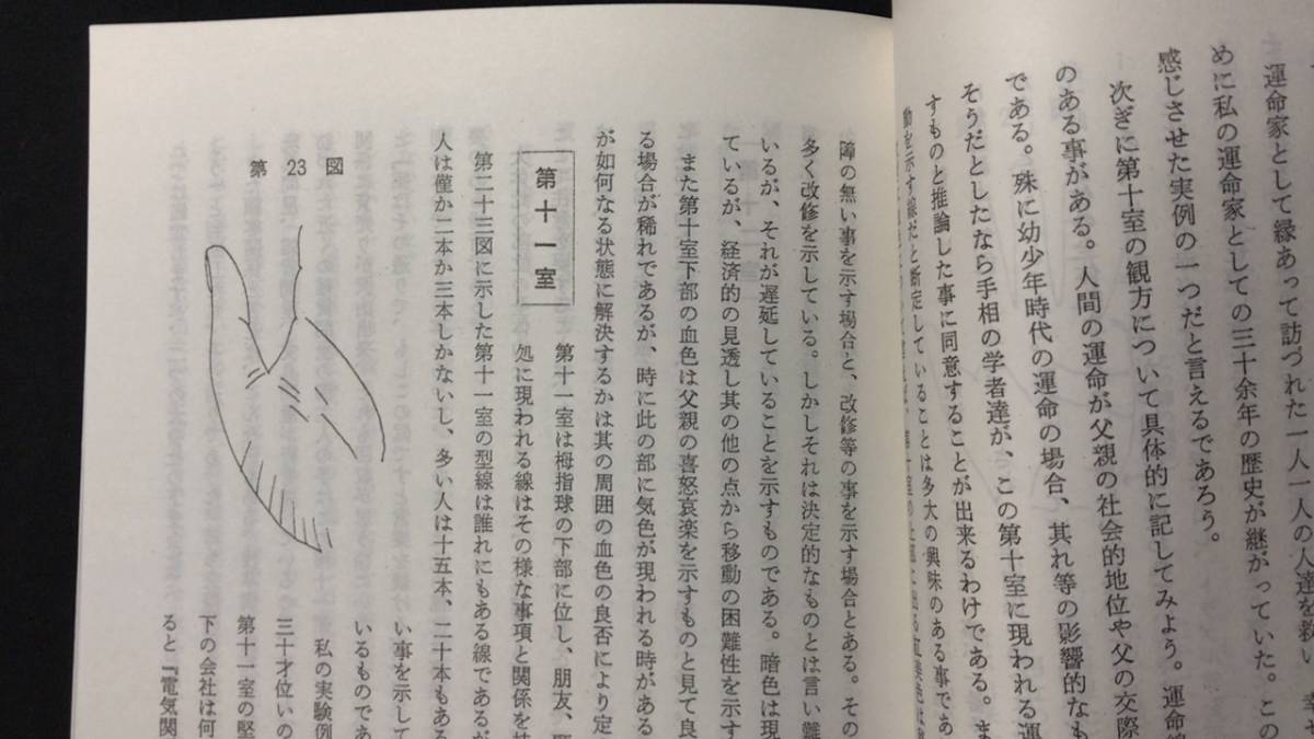 C【易学関連62】奥秘伝書 手相現象秘録 全○中村文聡○全109P○検)人 