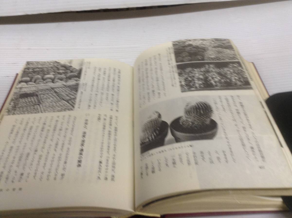 実用百科選書『サボテンの栽培と鑑賞』伊藤芳夫著 金園社 昭和47年