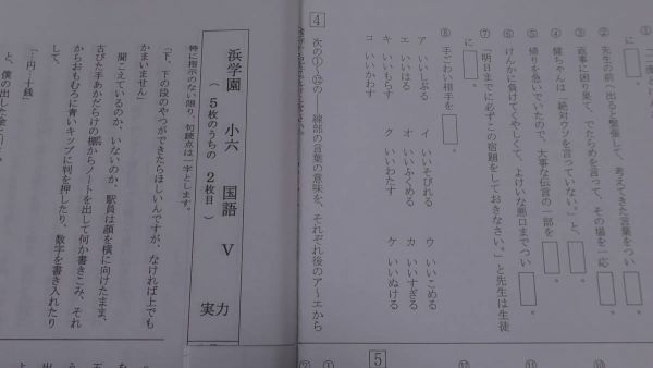 浜学園 小6 (2018年度) Ⅴクラス（国語） 復習テスト 中学受験 学習参考書