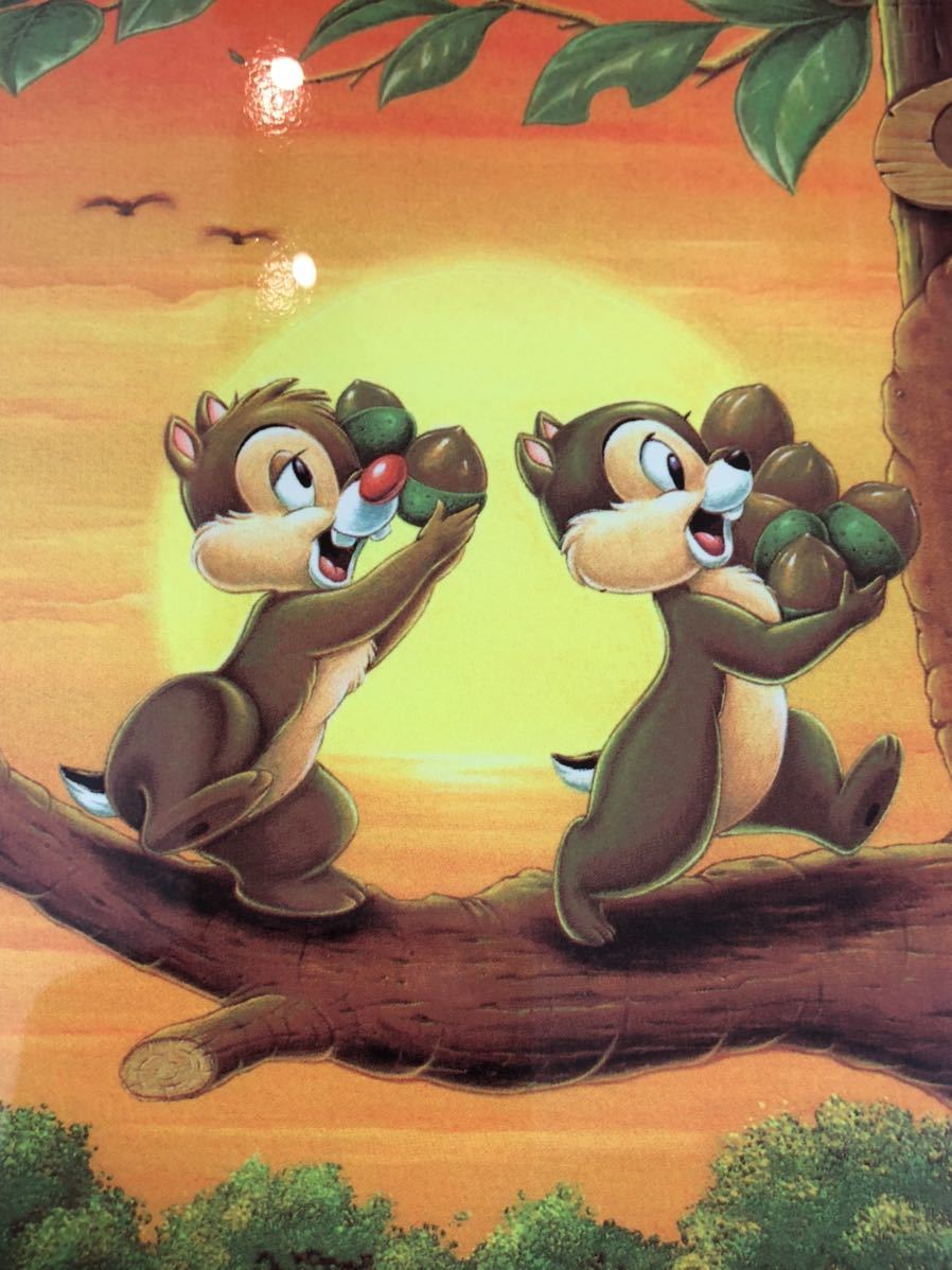 Chip&Dale チップ＆デール ARTILLUSION アーティリュージョン 181/555