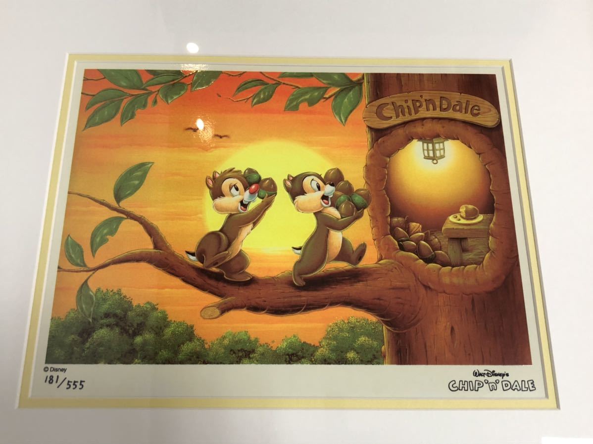 Chip&Dale チップ＆デール ARTILLUSION アーティリュージョン 181/555