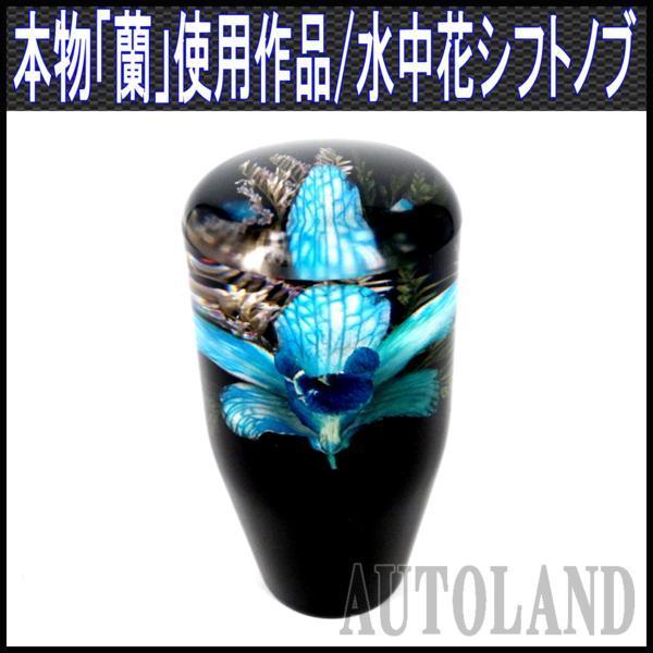 【新作，限定SALE】 水中花シフトノブ/本物蘭/生花作品/9cm/青 送料500円(社外品)｜売買されたオークション情報、yahooの商品情報をアーカイブ公開 - オークファン 社外品