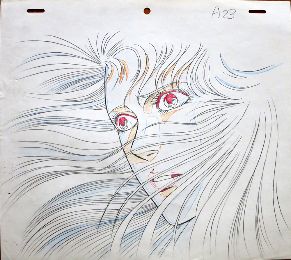 アニメセル画a23動画付き 待望 アニメセル画a23動画付き 待望