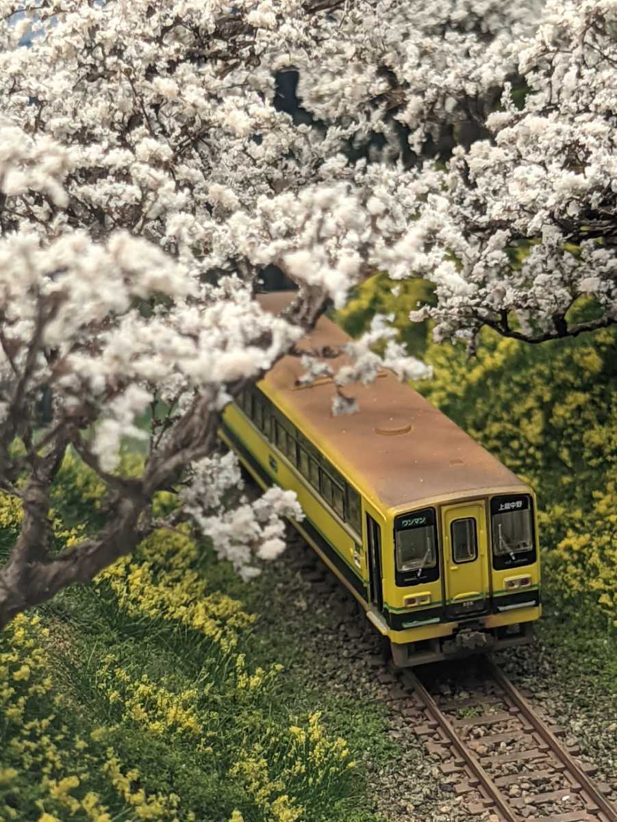 Nゲージ ケース 付き 展示用 ジオラマ いすみ鉄道 非電化単線 沿線