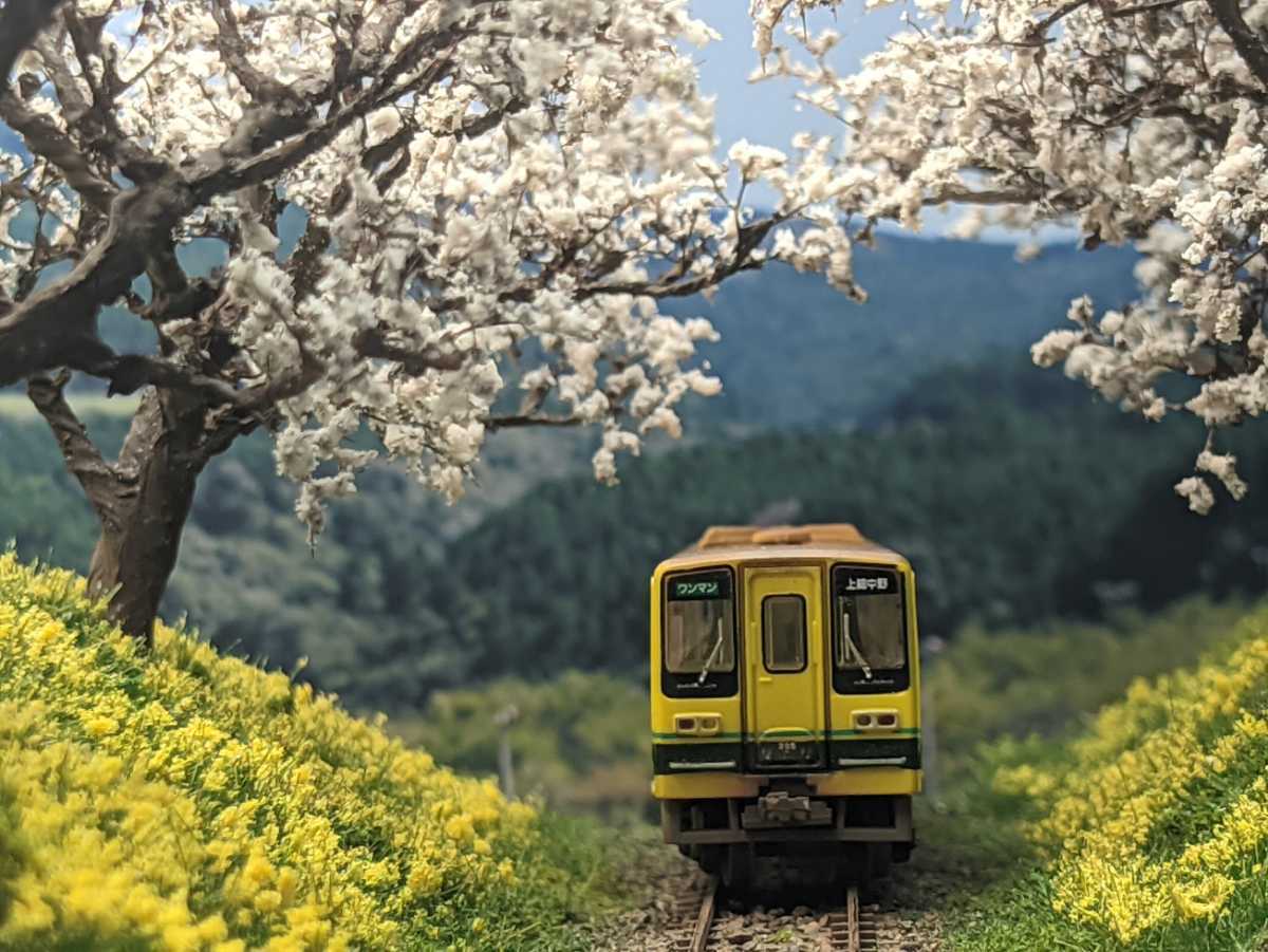 Nゲージ ケース 付き 展示用 ジオラマ いすみ鉄道 非電化単線 沿線