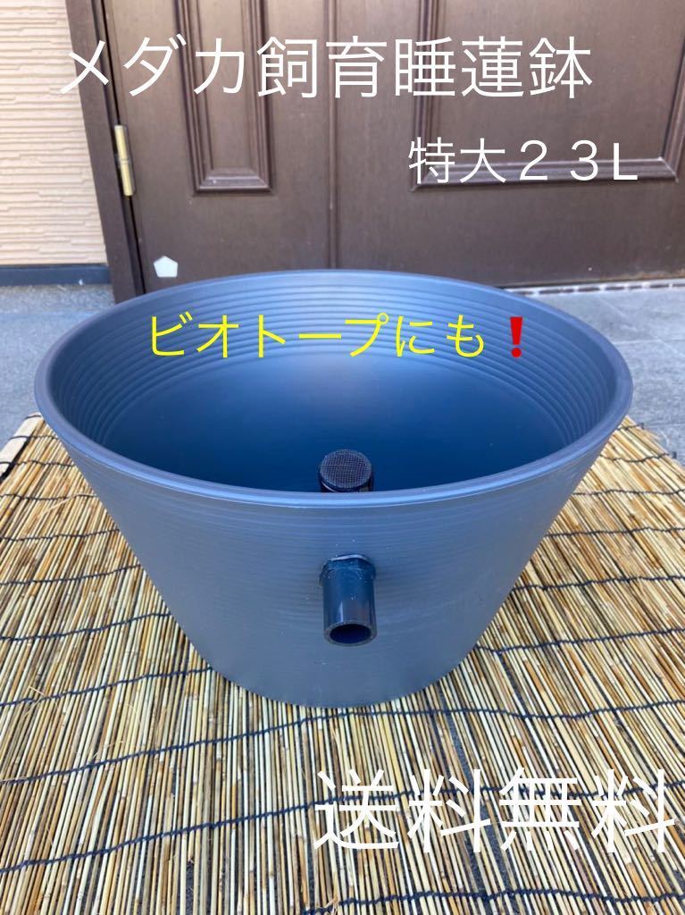 【最安値，お買い得】 メダカ飼育睡蓮鉢特大２３Lグレー オーバーフロー加工(めだか)｜売買されたオークション情報、yahooの商品情報をアーカイブ公開 - オークファン めだか