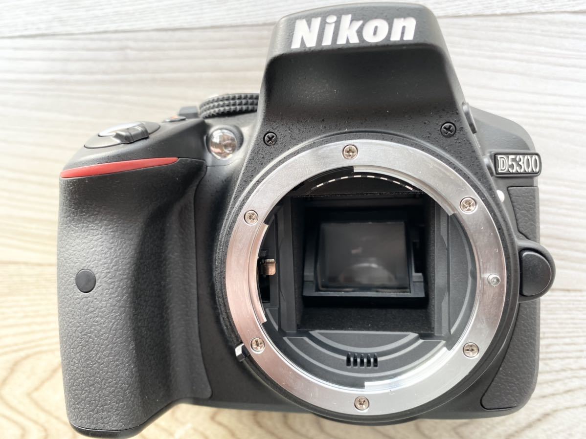 ☆Wi-Fi搭載・スマホ転送☆シャッター数少なめ☆自撮り☆Nikon D5300  