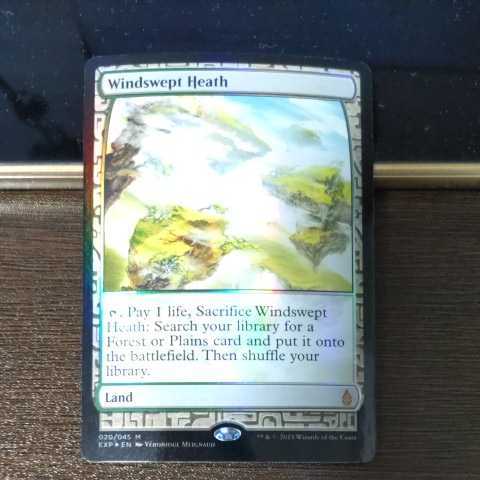 MTG 吹きさらしの荒野 Heath Foil《吹きさらしの荒野⁄Windswept