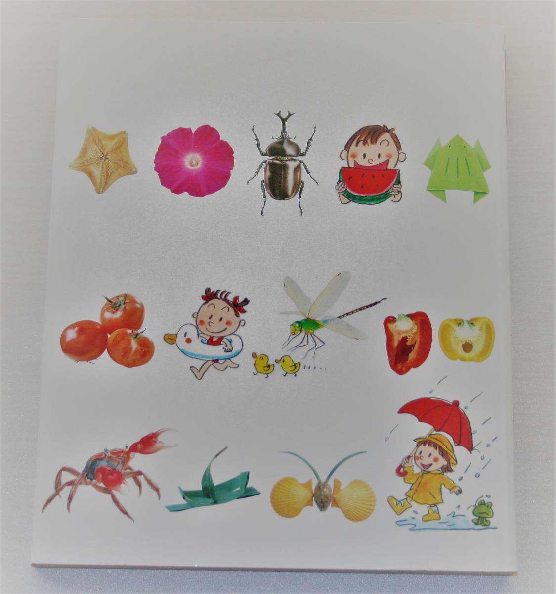 ふれあいしぜん図鑑 春夏秋冬 4冊セット Jindalcotex Com