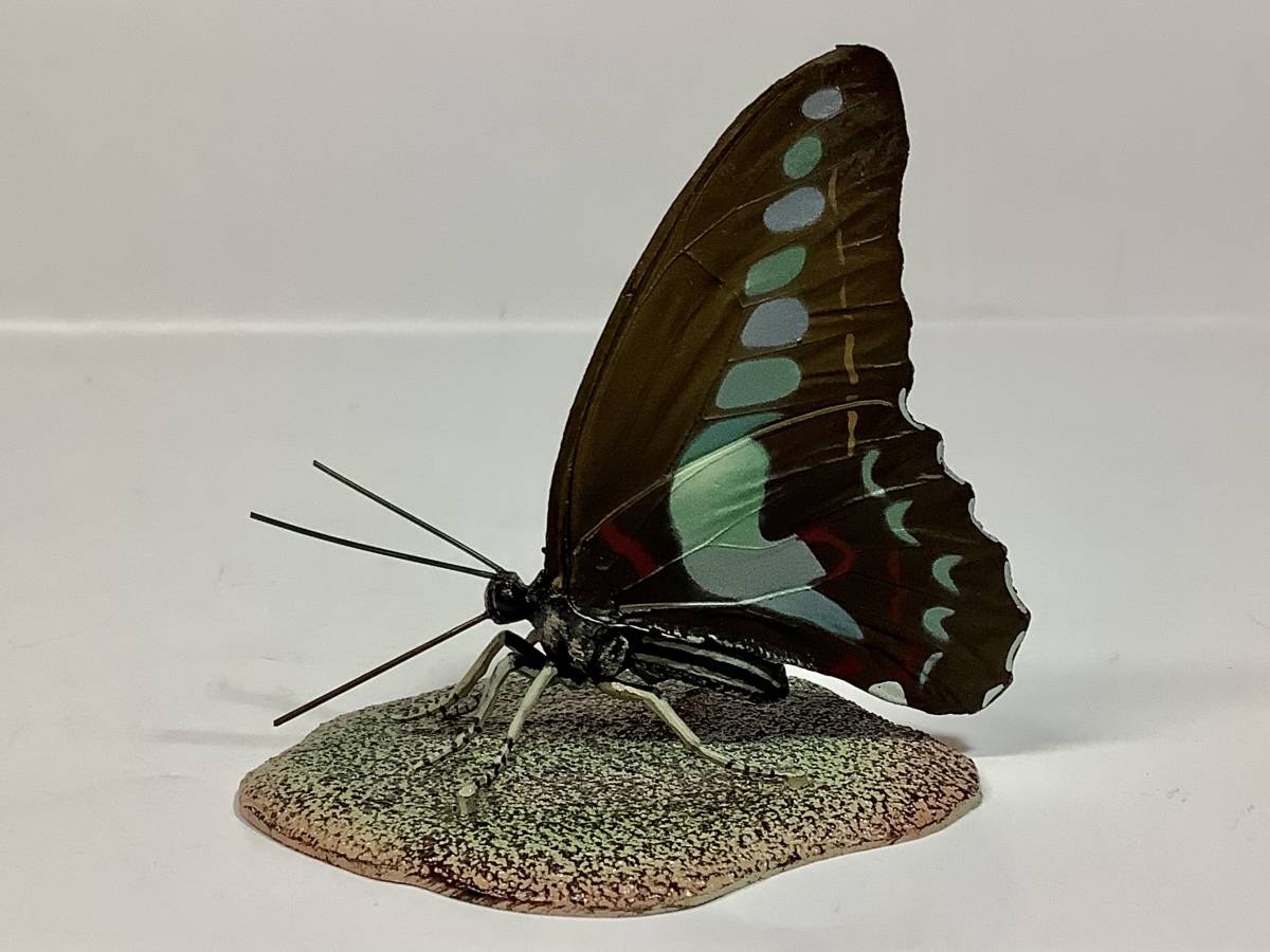 アオスジアゲハ アオスジアゲハ 原色日本昆虫図鑑 Ⅳ 「原色図鑑