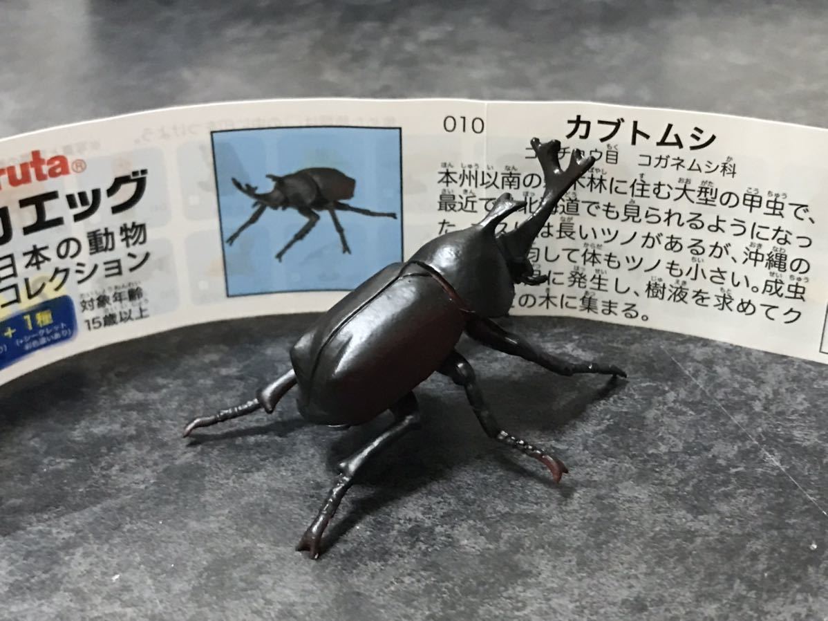 チョコエッグ 日本の動物10周年記念版 カブトムシ 日本の動物コレクション 売買されたオークション情報 Yahooの商品情報をアーカイブ公開 オークファン Aucfan Com