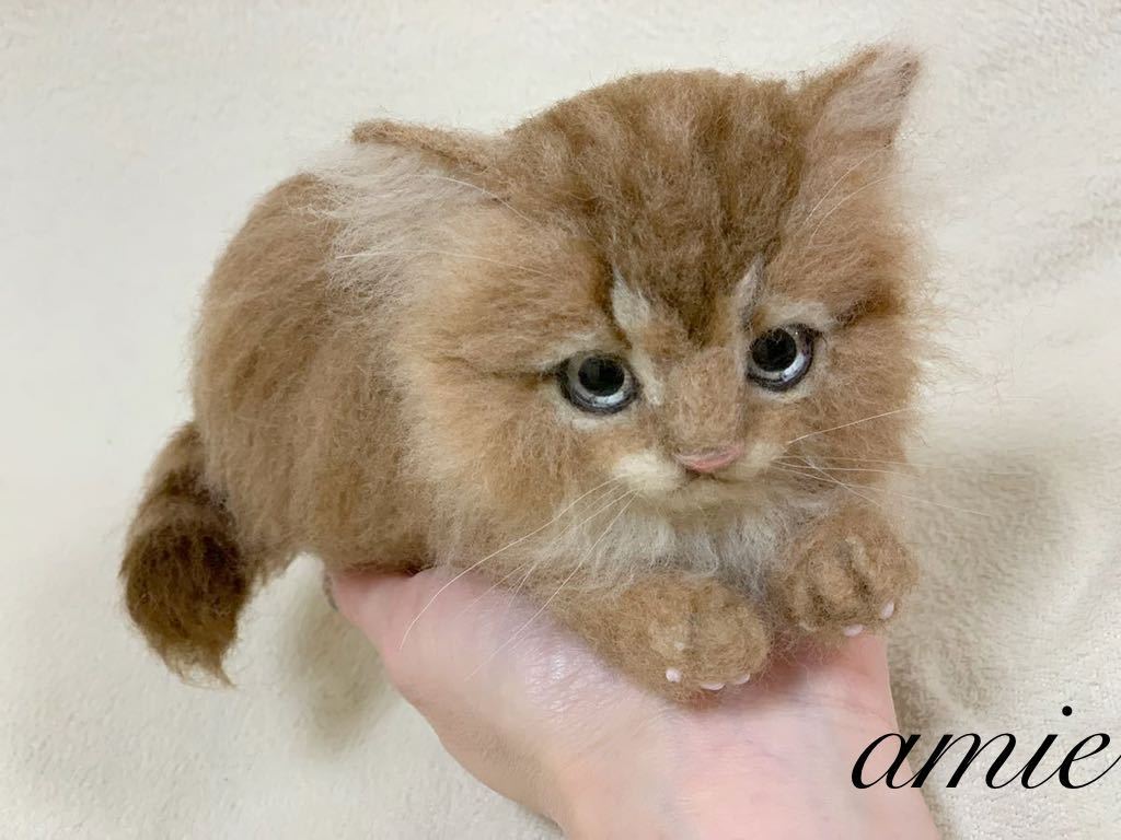 羊毛フェルト felting 猫 - ペルシャ(チンチラゴールデン)の子猫を価格