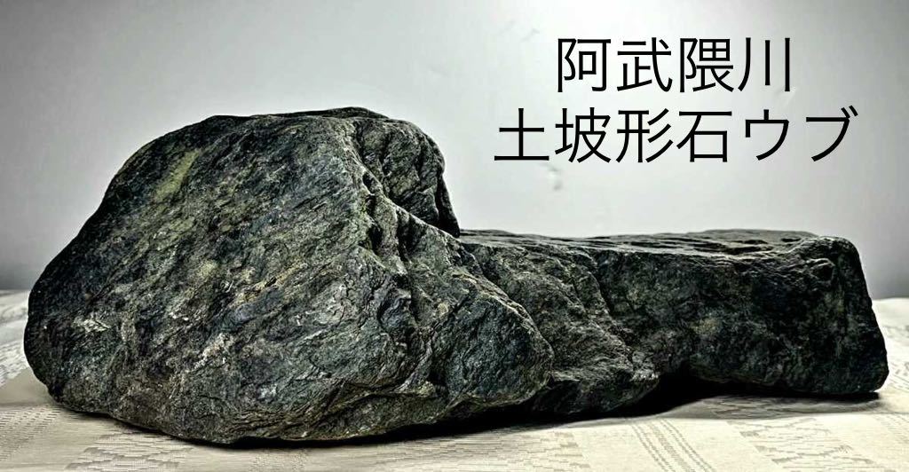 盆栽 銘 佐治川石 水石 横13.5×高6 羊蹄山 信濃美術石博物館水石 -水石