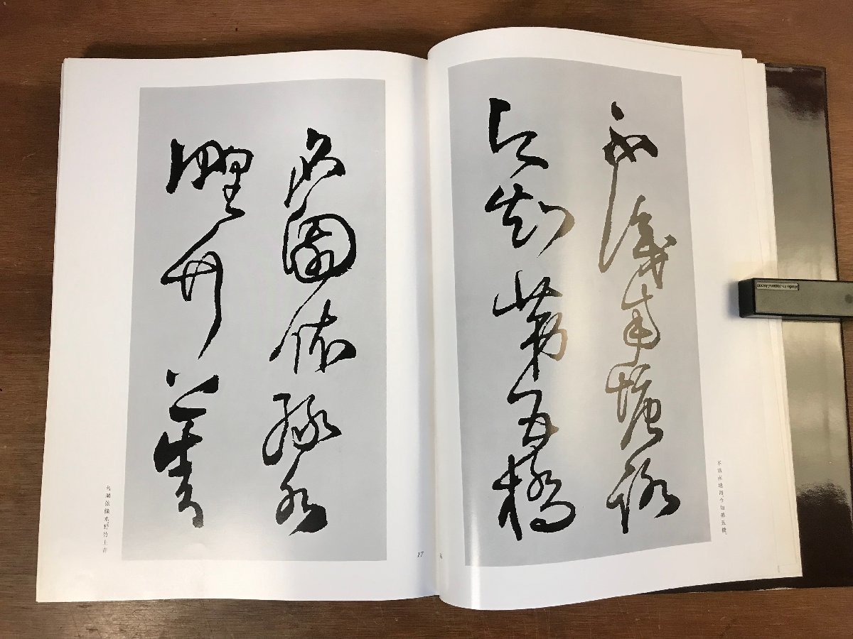 株式会社二玄社 王鐸の書法 - 全5巻☆二玄社 中国書道☆王鐸の書法 