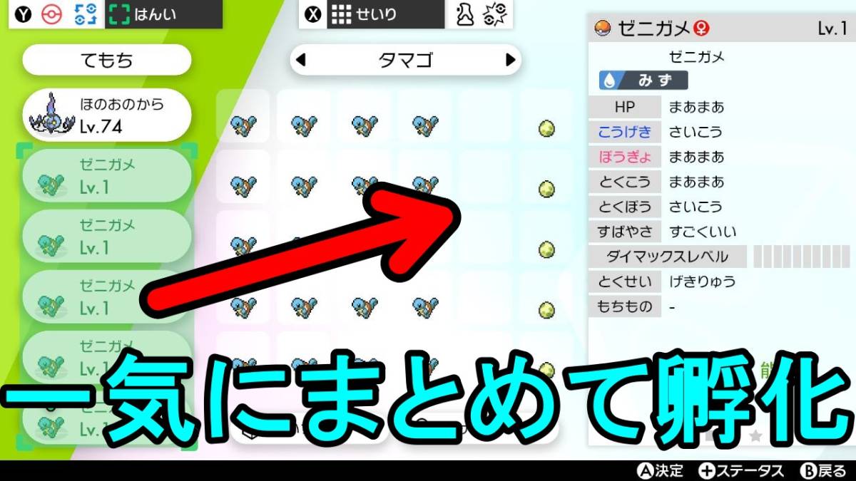 最速 自動タマゴ転送 孵化 ポケモン剣盾 ５番道路 コントローラ Hd5al8nj2j エンタメ ホビー Tdsc Sn