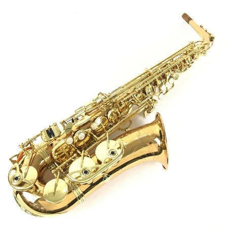 Yanagisawa 902 アルトサックス ハードケース付き 管楽器 中古