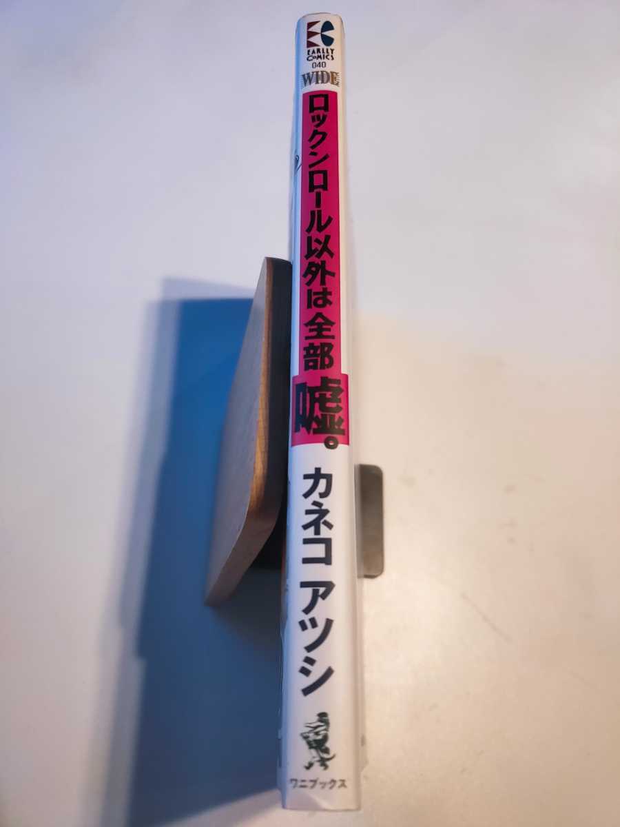 絶版】ロックンロール以外は全部嘘 カネコアツシ 【公式通販】