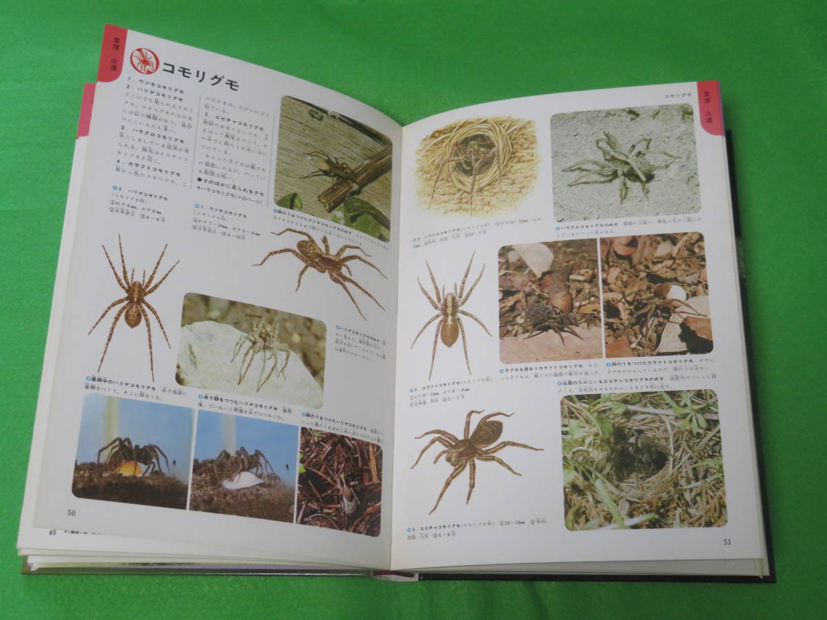 本 学研の図鑑 クモ くも 蜘蛛 外函なし 図鑑 売買されたオークション情報 Yahooの商品情報をアーカイブ公開 オークファン Aucfan Com