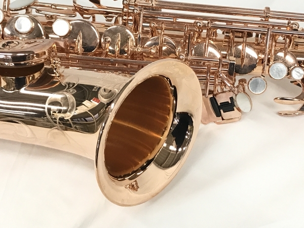 Yanagisawa A Wopgp ピンクゴールドプレート ヤナギサワ Wo アルトサックス 良好 S アルトサックス 売買されたオークション情報 Yahooの商品情報をアーカイブ公開 オークファン Aucfan Com