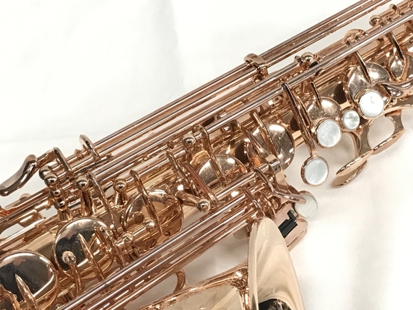 Yanagisawa A Wopgp ピンクゴールドプレート ヤナギサワ Wo アルトサックス 良好 S アルトサックス 売買されたオークション情報 Yahooの商品情報をアーカイブ公開 オークファン Aucfan Com