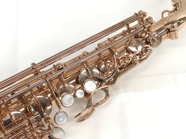 Yanagisawa A Wopgp ピンクゴールドプレート ヤナギサワ Wo アルトサックス 良好 S アルトサックス 売買されたオークション情報 Yahooの商品情報をアーカイブ公開 オークファン Aucfan Com