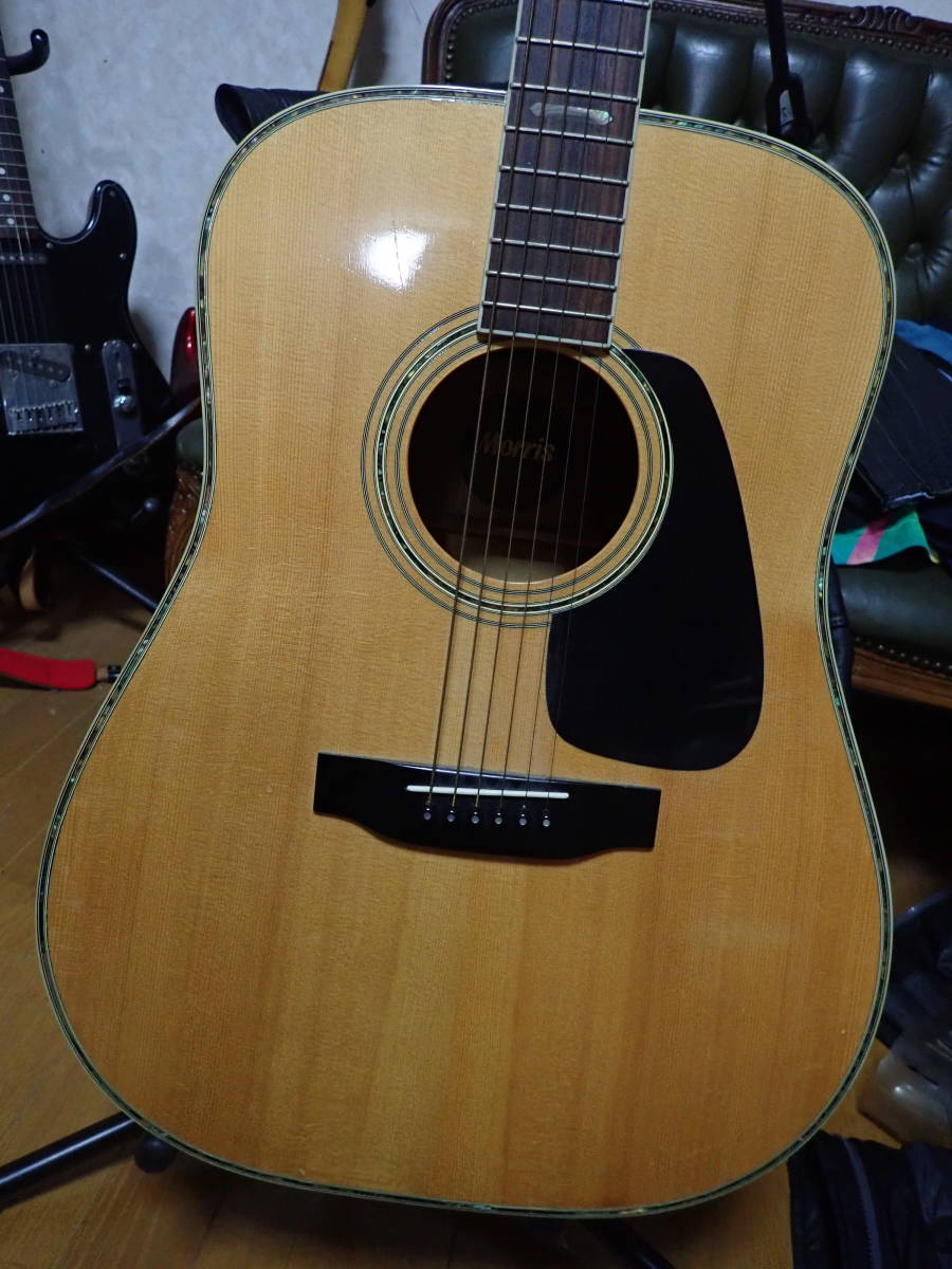 ハカランダ MORRIS モーリス TF-801アコースティックギター ハカランダ MORRIS モーリス TF-801アコースティックギター MORRIS TF