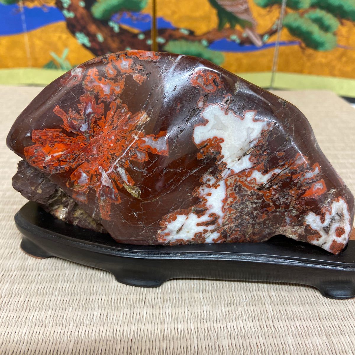 根尾桜石朱世界☆ 鑑賞石菊花石桜石