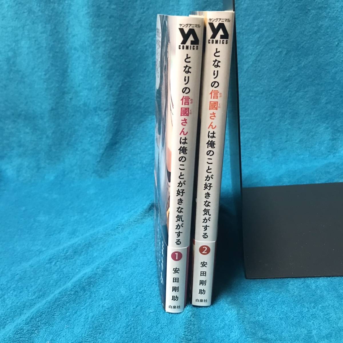 ☆全初版/帯付/特典ペーパー付☆白泉社『となりの信國さんは俺のことが 