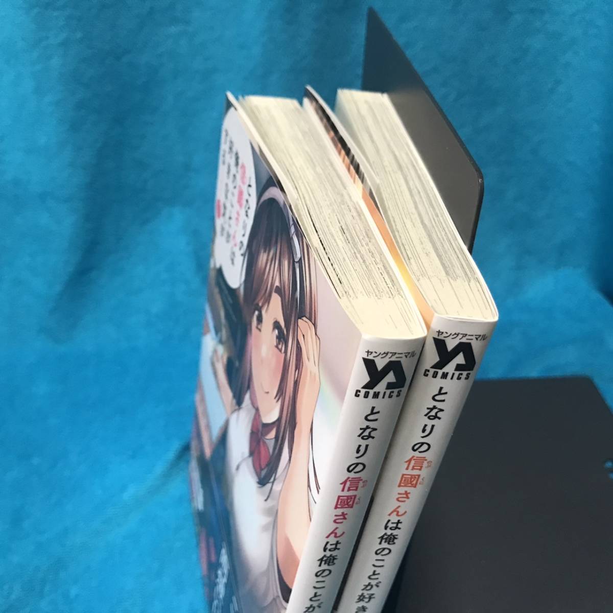 ☆全初版/帯付/特典ペーパー付☆白泉社『となりの信國さんは俺のことが 