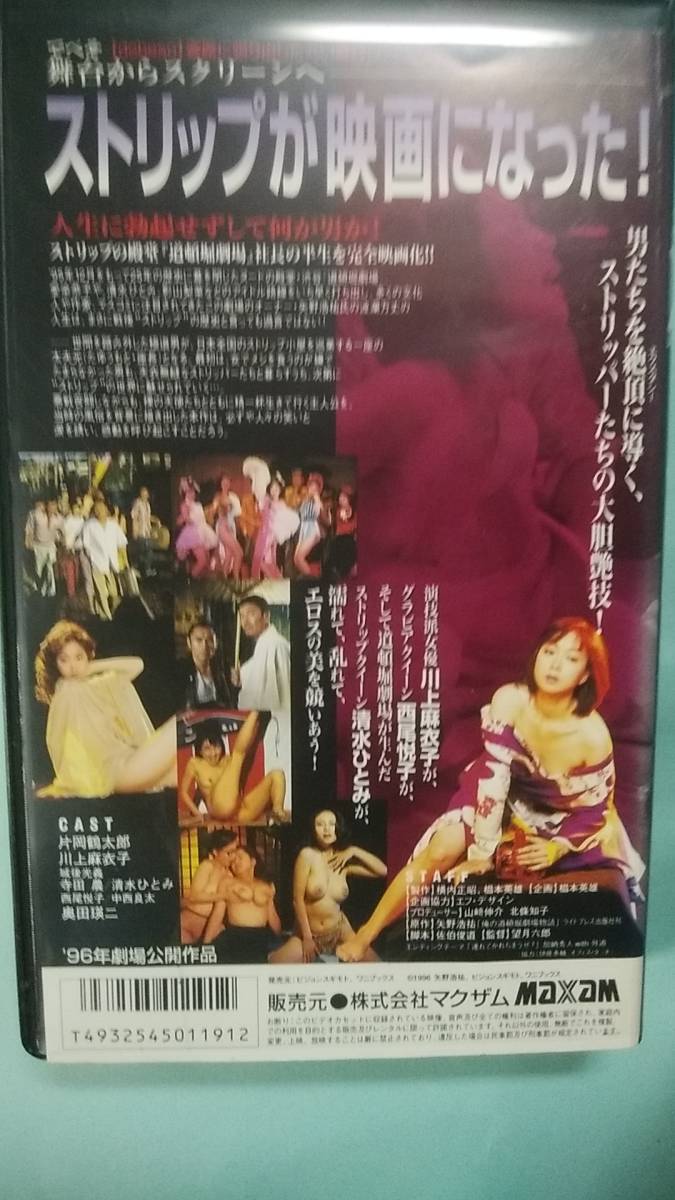 べそdeストリップ清水ひとみ川上麻衣子 その他 売買されたオークション情報 Yahooの商品情報をアーカイブ公開 オークファン Aucfan Com