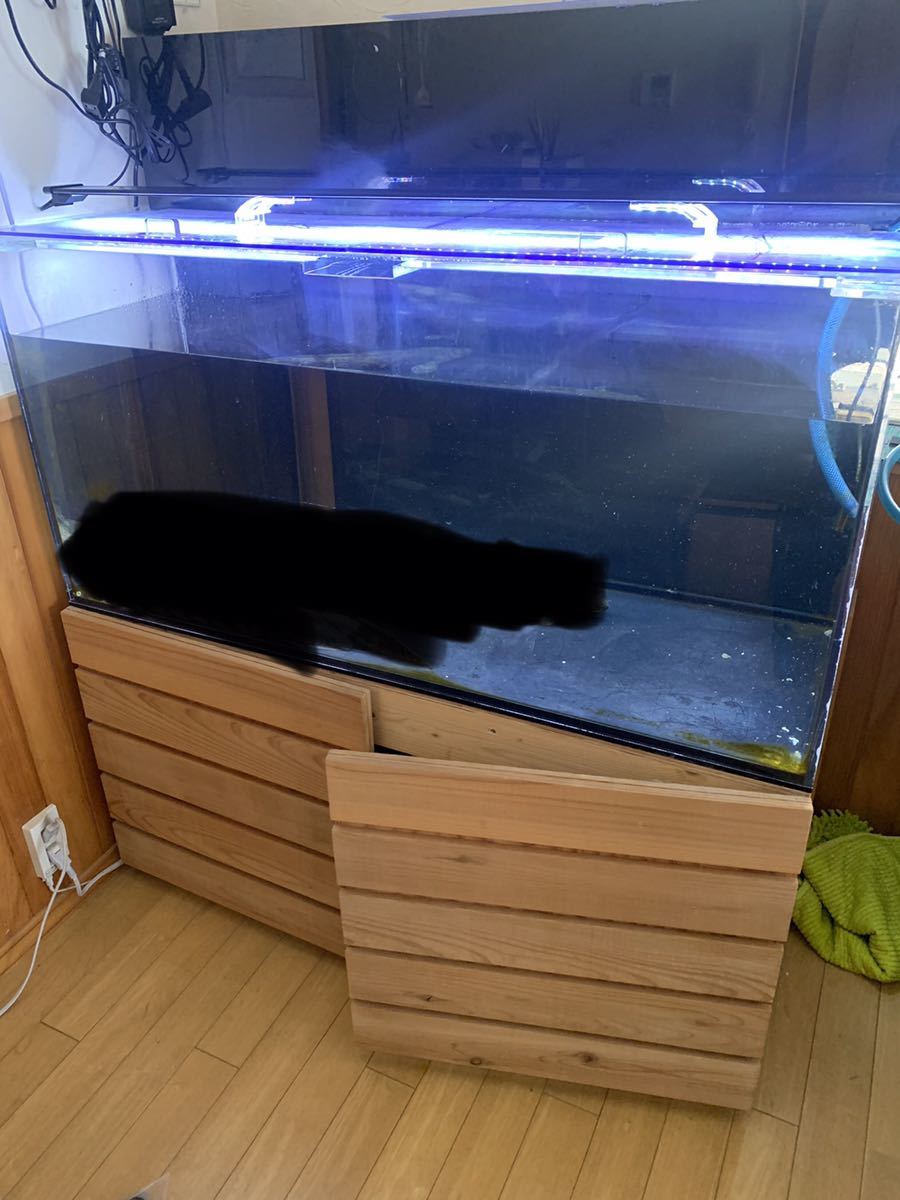 お買い得，セール くもりほぼ無し 1200&times;600&times;600 底面ブラック フルセット 上部濾過 コーナーポスト付き アクリル水槽(120cm～)｜売買されたオークション情報、yahooの商品情報をアーカイブ公開 - オークフ 120cm～