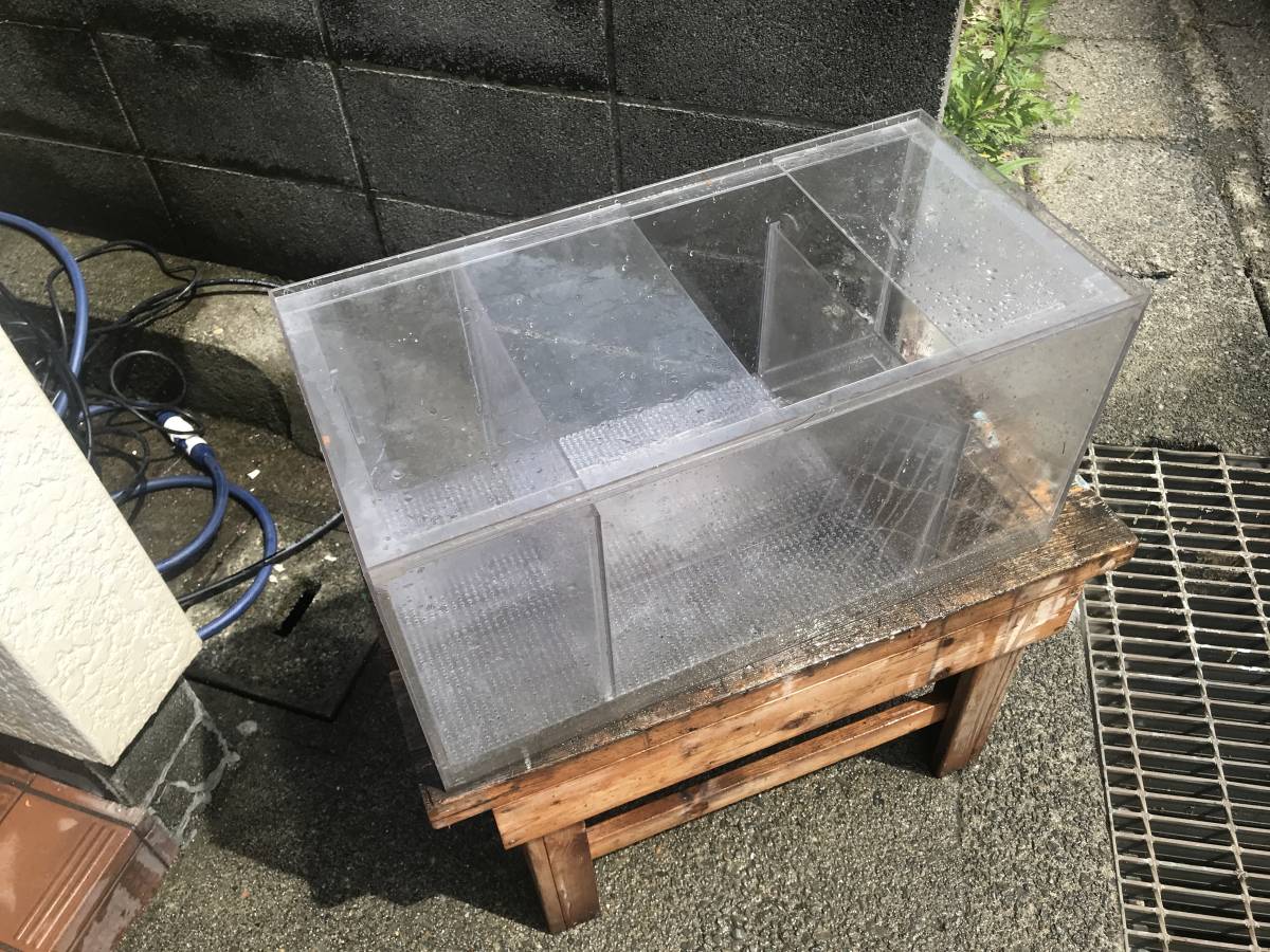 オーバーフロー水槽用塩ビ濾過槽 W600×D300 ×H300㎜ オーバーフロー水槽用塩ビ濾過槽 W600×D300 ×H300㎜ 魚用品・水草