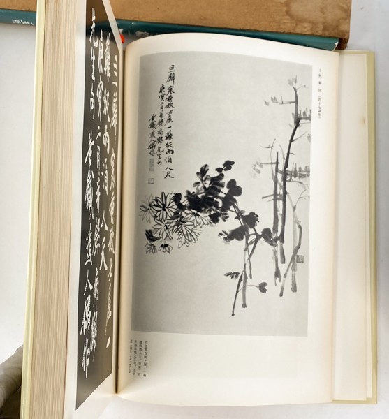 二玄社 王鐸の書法/張瑞図の書法/呉昌碩の書法 6冊 中国 書道 古書
