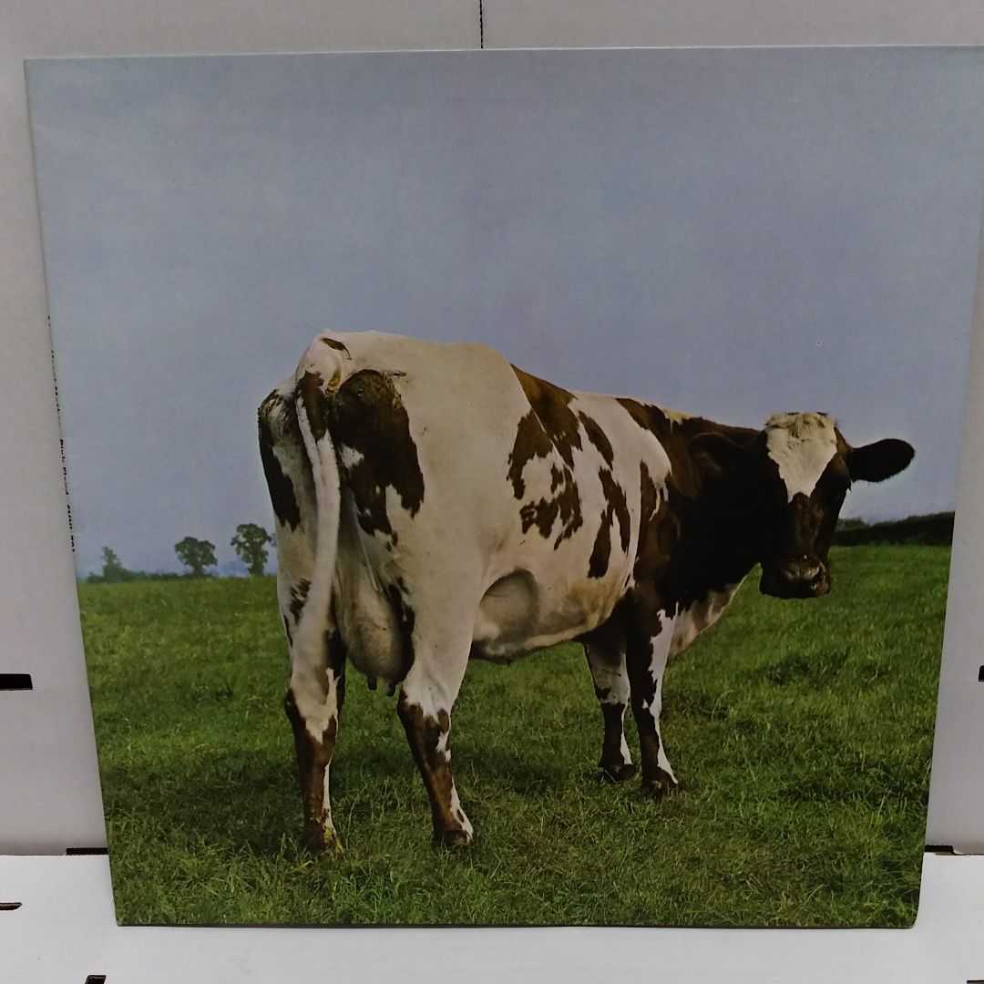 激安大特価，低価 UK美盤LP/PINK FLOYD ピンク フロイド ATOM HEART MOTHER 原子心母 SHVL-781(Pink Floyd)｜売買されたオークション情報、yahooの商品情報をアーカイブ公開 - オークファン P