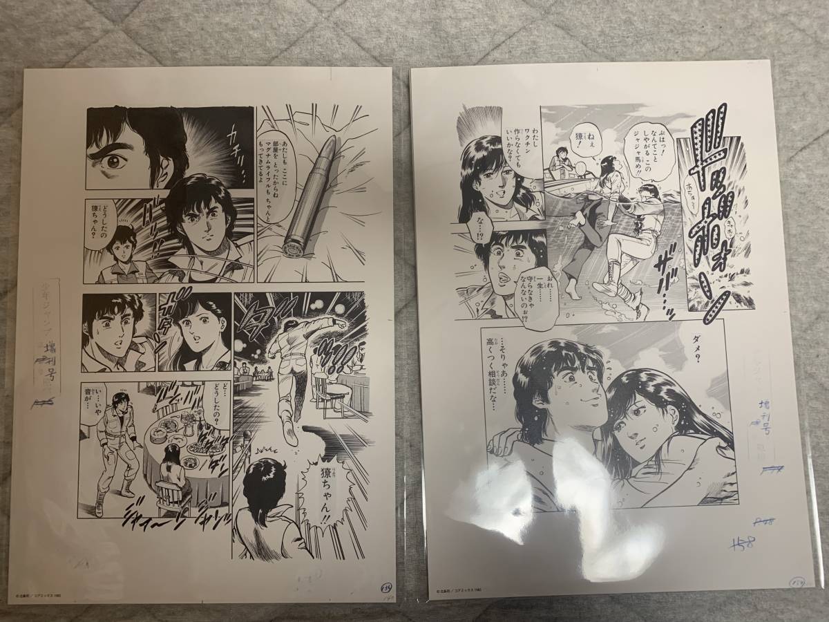 キャッツアイ CAT 