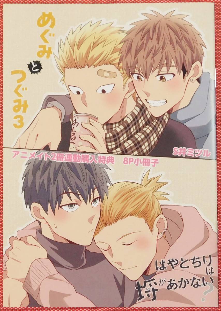 めぐみとつぐみ アニメ ゲーム 一部予約 ゲーム