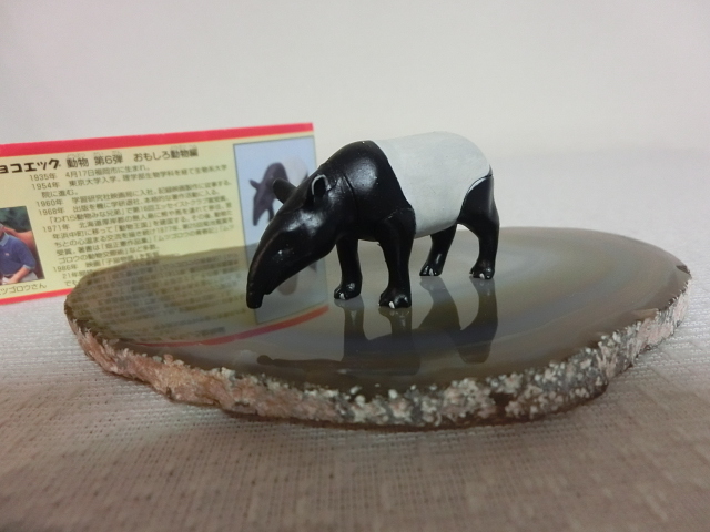 チョコエッグ 動物 第６弾 おもしろ動物編 マレーバク 動物 奇蹄目 ウマ目 Furuta チョコエッグ 売買されたオークション情報 Yahooの商品情報をアーカイブ公開 オークファン Aucfan Com