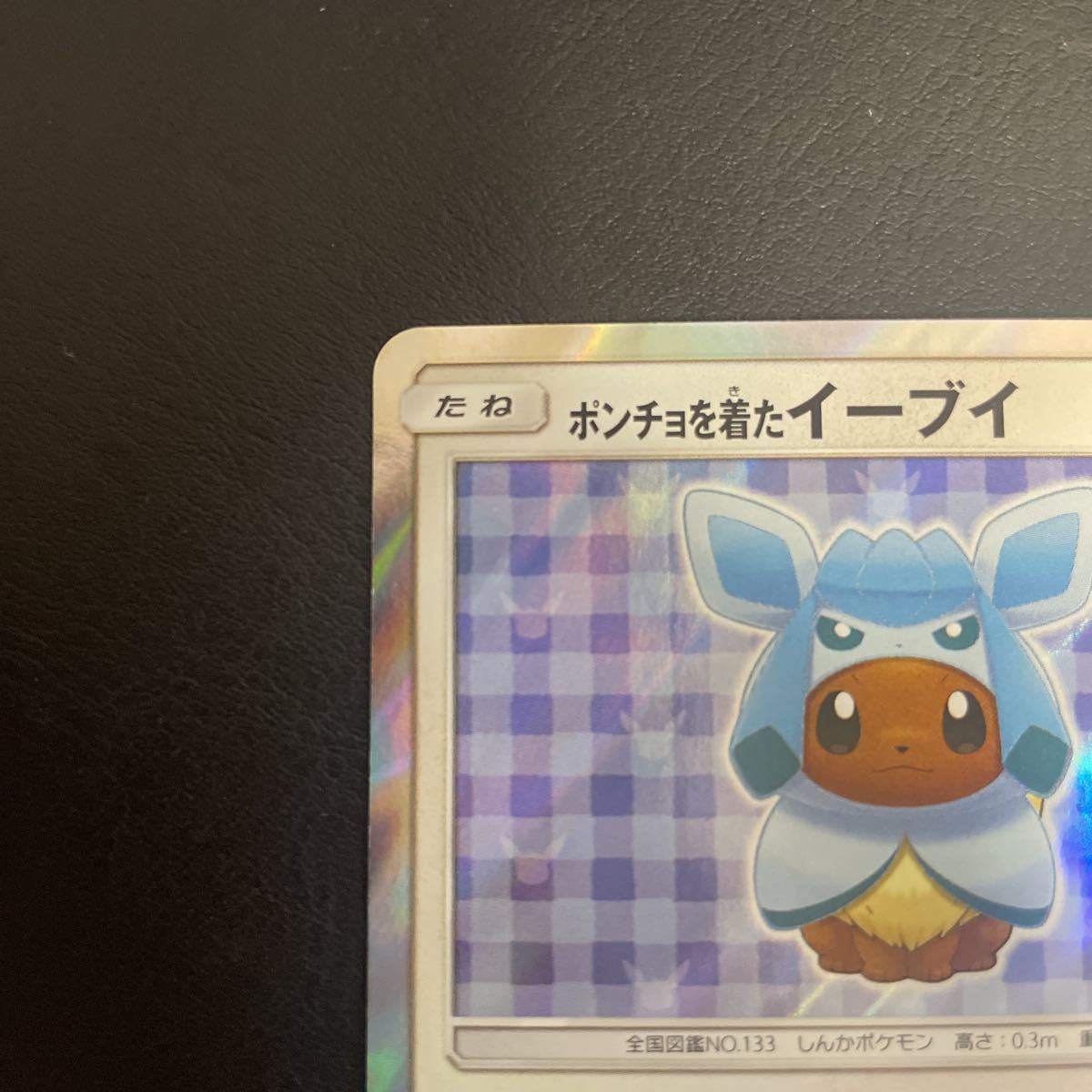 ホワイト系消費税無し ポケモンカード ポンチョを着たイーブイ グレイシア プロモ ポケモンカードゲーム トレーディングカードホワイト 系 7 709 Lucentlightinginc Com