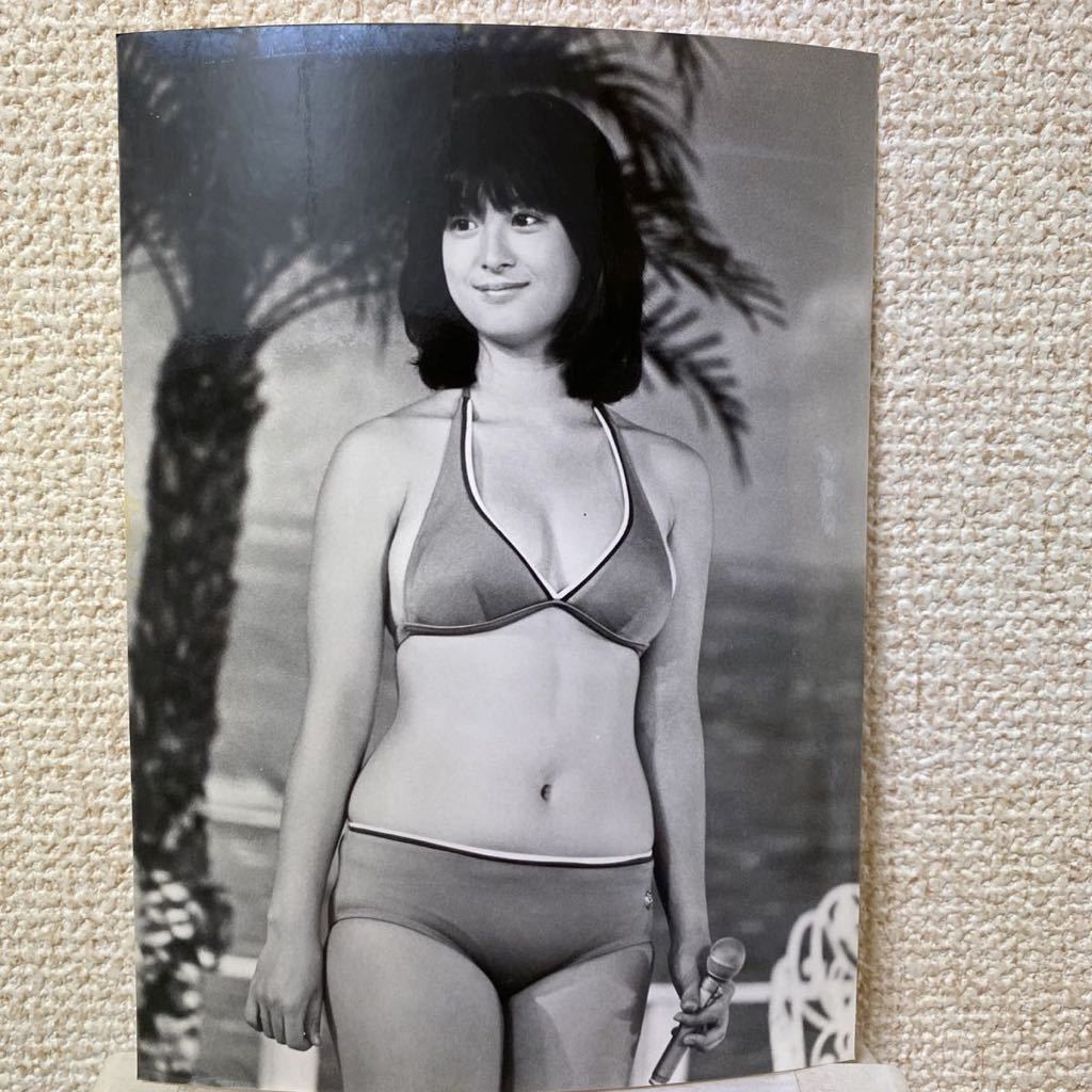 河合奈保子 番組宣伝スチール写真 フジテレビ 芸能人水泳大会 写真 売買されたオークション情報 Yahooの商品情報をアーカイブ公開 オークファン Aucfan Com