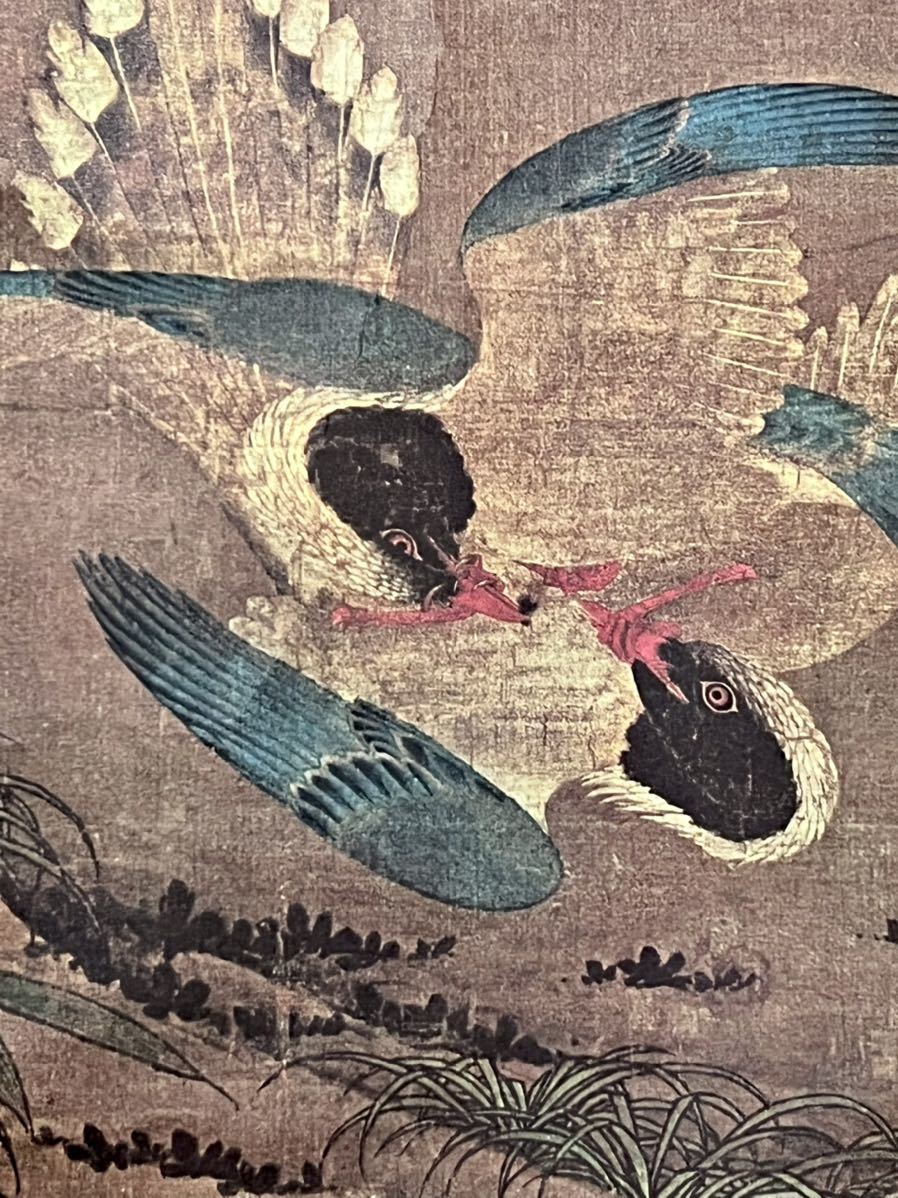 仏陀 辺文進 春花三喜 紙本 高級工芸 超大幅 花鳥図 尾長鶏 鳥獣 絵画