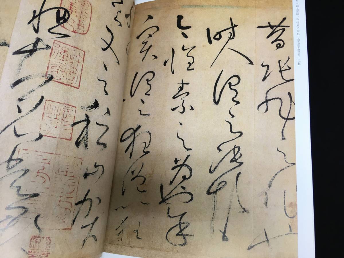 AM-091大判書道古書 唐懐素草書選 中国法書精萃 2005 淅江人民美術