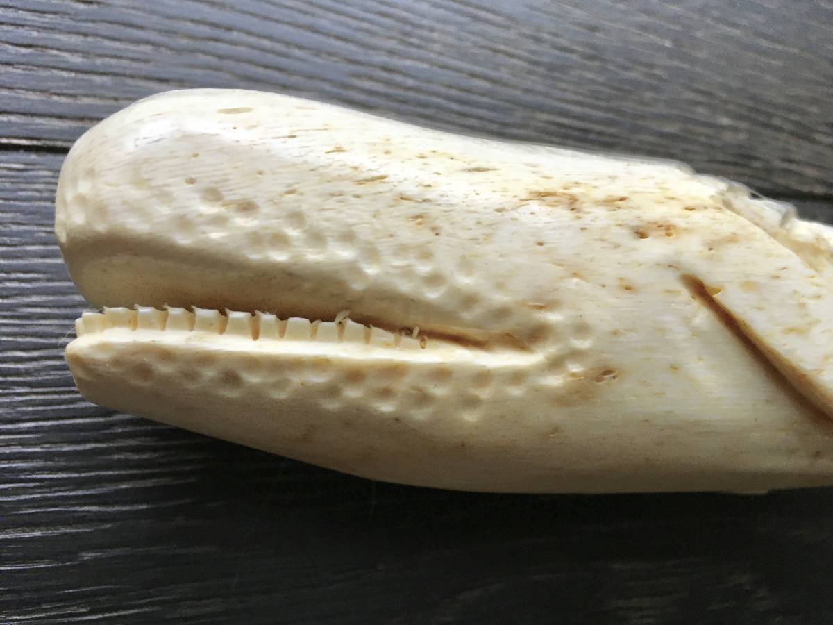 鯨歯の彫刻 明治期鯨歯彫根付—大鯛を押さえつける恵比寿 – 株式会社 明月