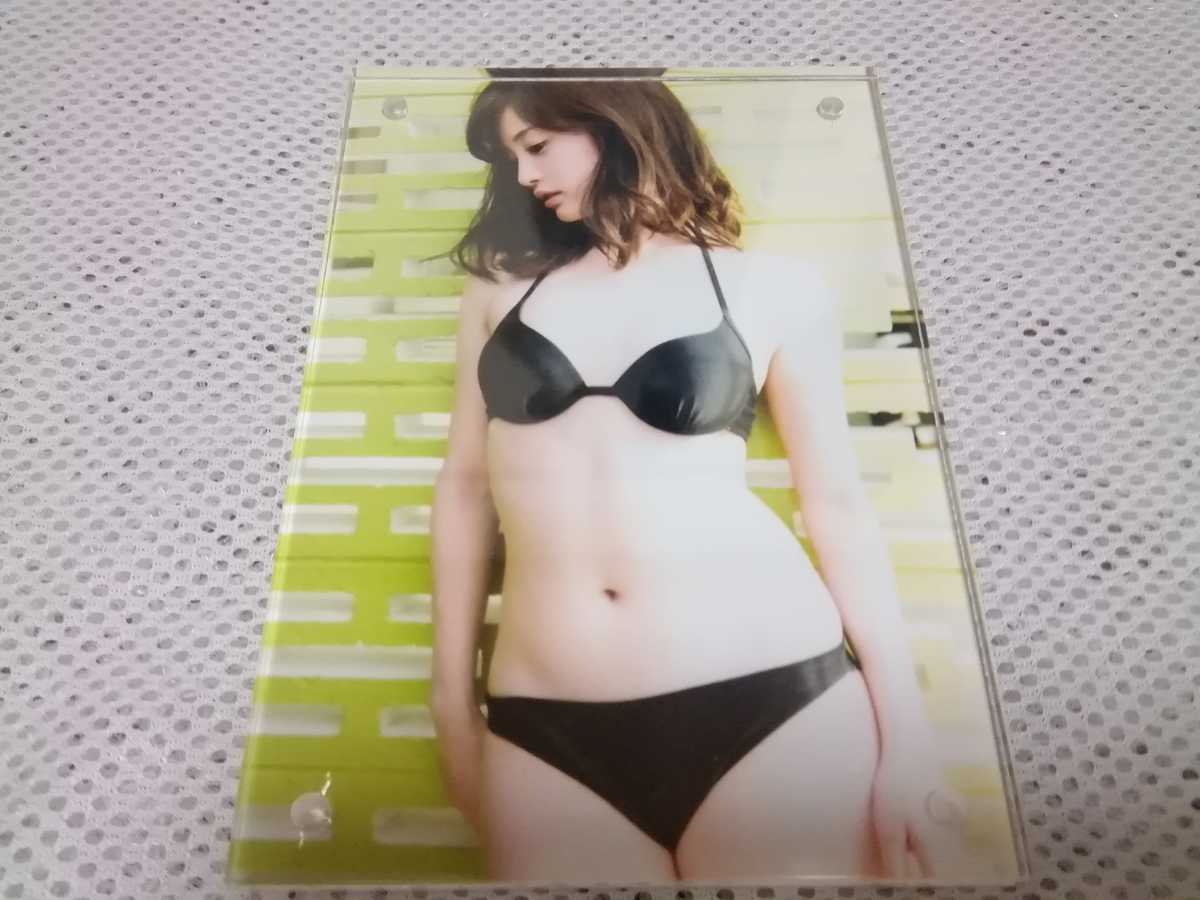 新井絵理那 フリーアナウンサー ビキニ水着写真 写真 売買されたオークション情報 Yahooの商品情報をアーカイブ公開 オークファン Aucfan Com