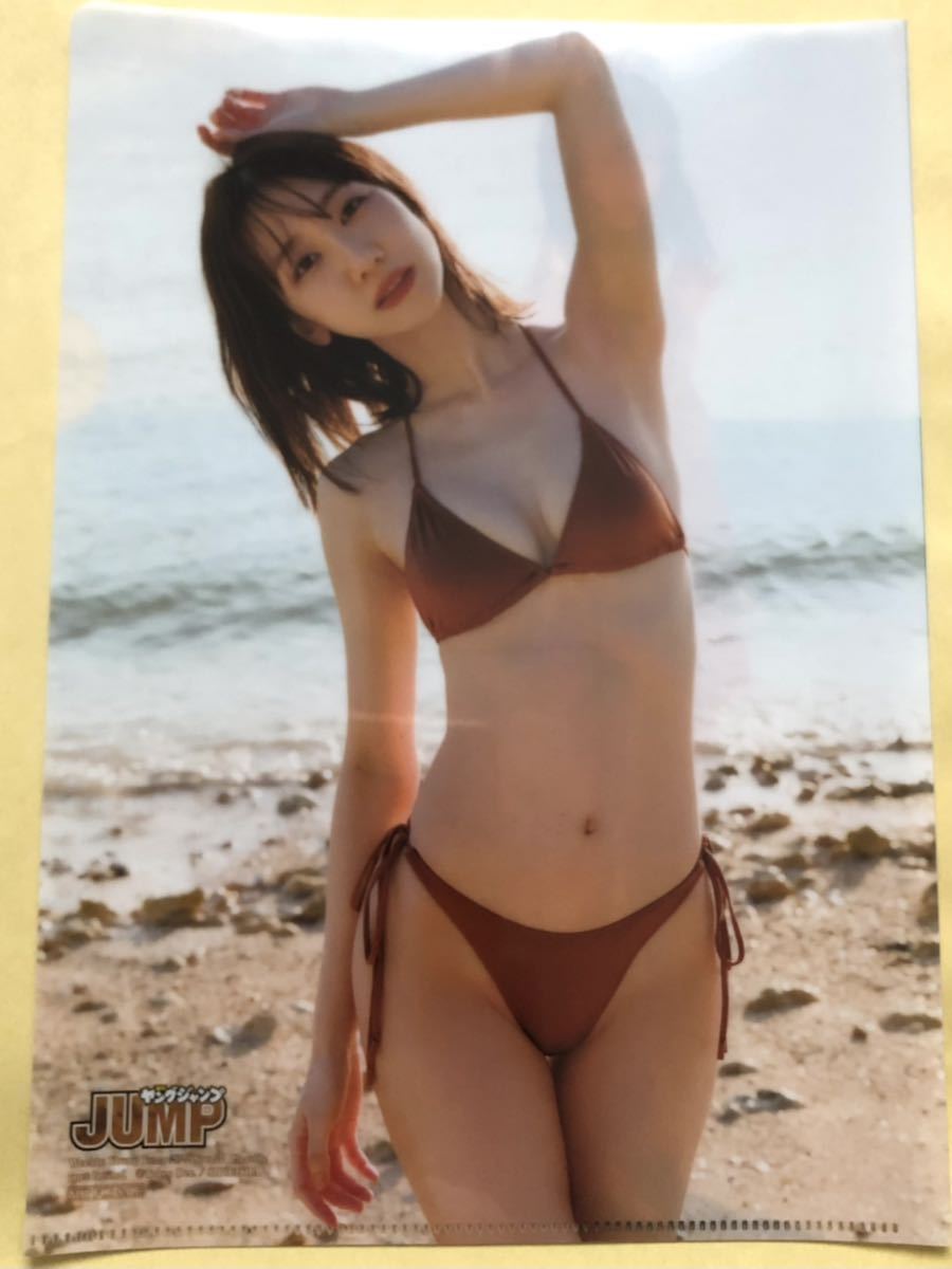 送料無料 ヤングジャンプ セブンネット購入特典 AKB48 柏木由紀 水着