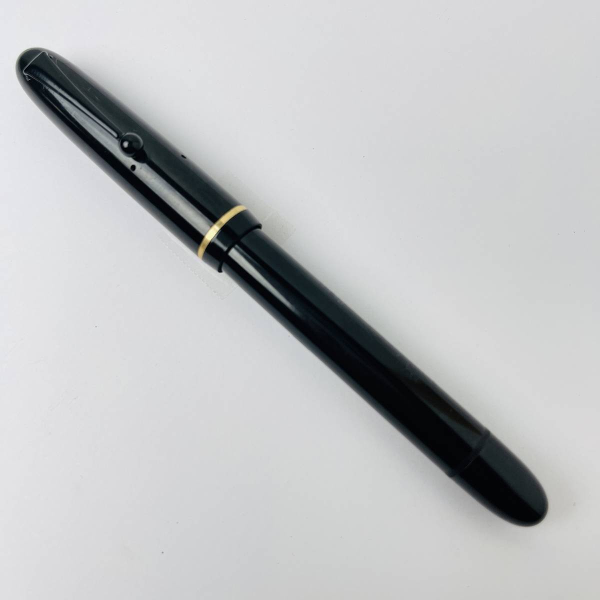PILOT 万年筆 ペン先 ワランテッド WARRANTED THE NAMIKI 万年筆並木