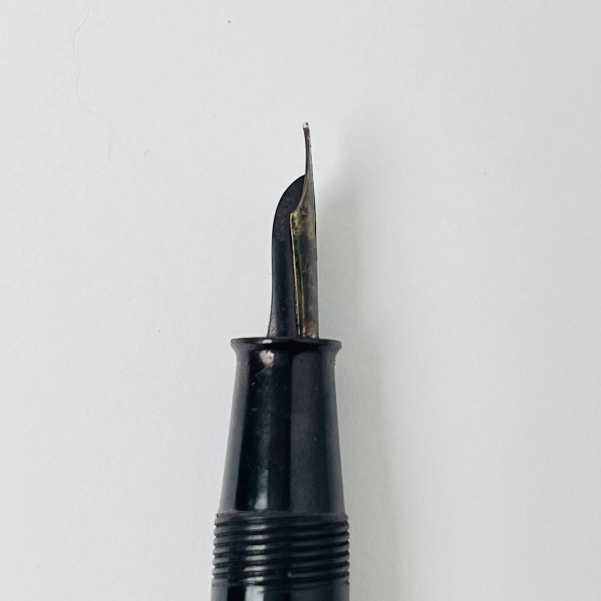 PILOT 万年筆 ペン先 ワランテッド WARRANTED THE NAMIKI 万年筆並木