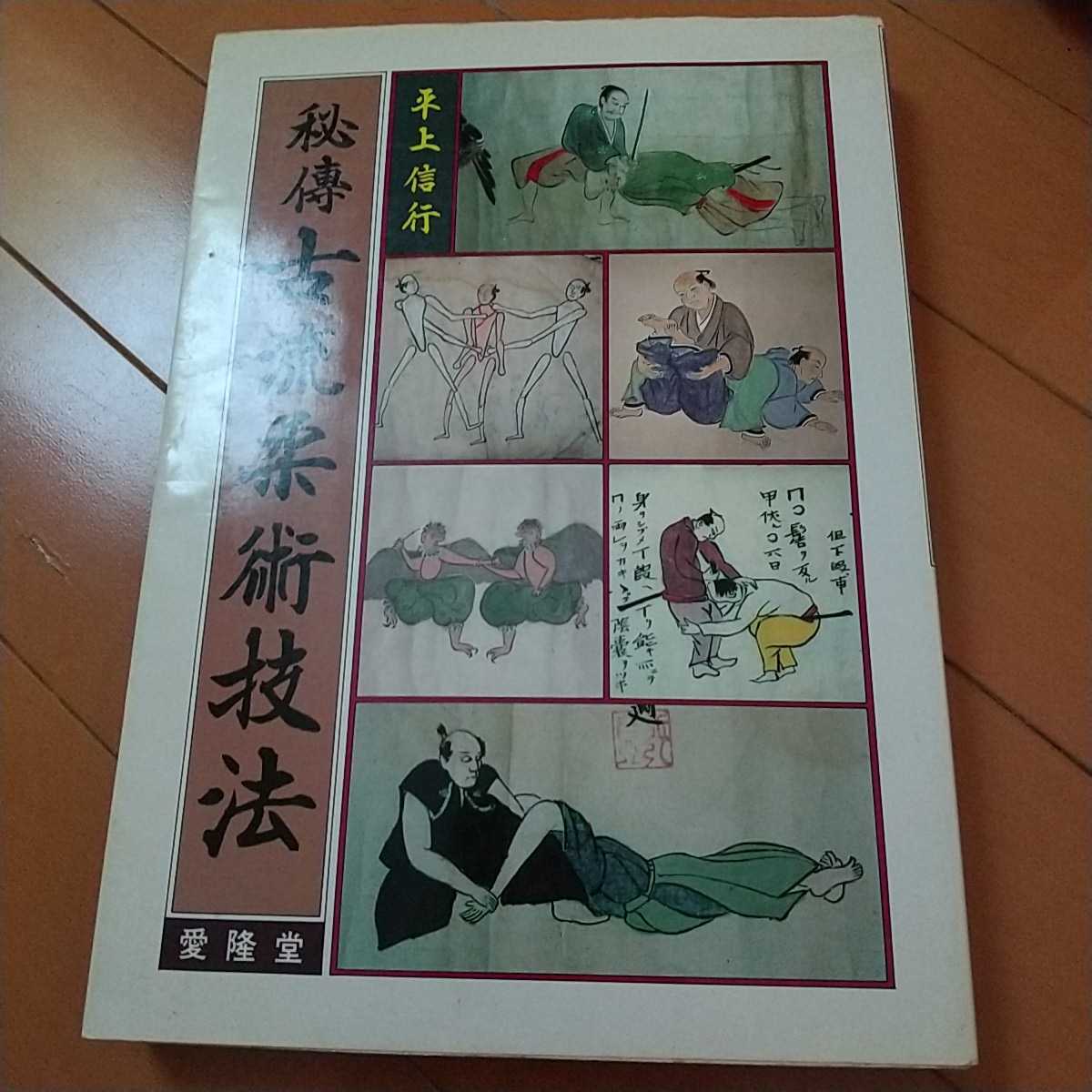 秘伝 古流柔術技 平上信行 柔術 武術 古武道 拳法 柔道 合気道 気楽流 大東流 竹内流(格闘技一般)|売買されたオークション情報 ...