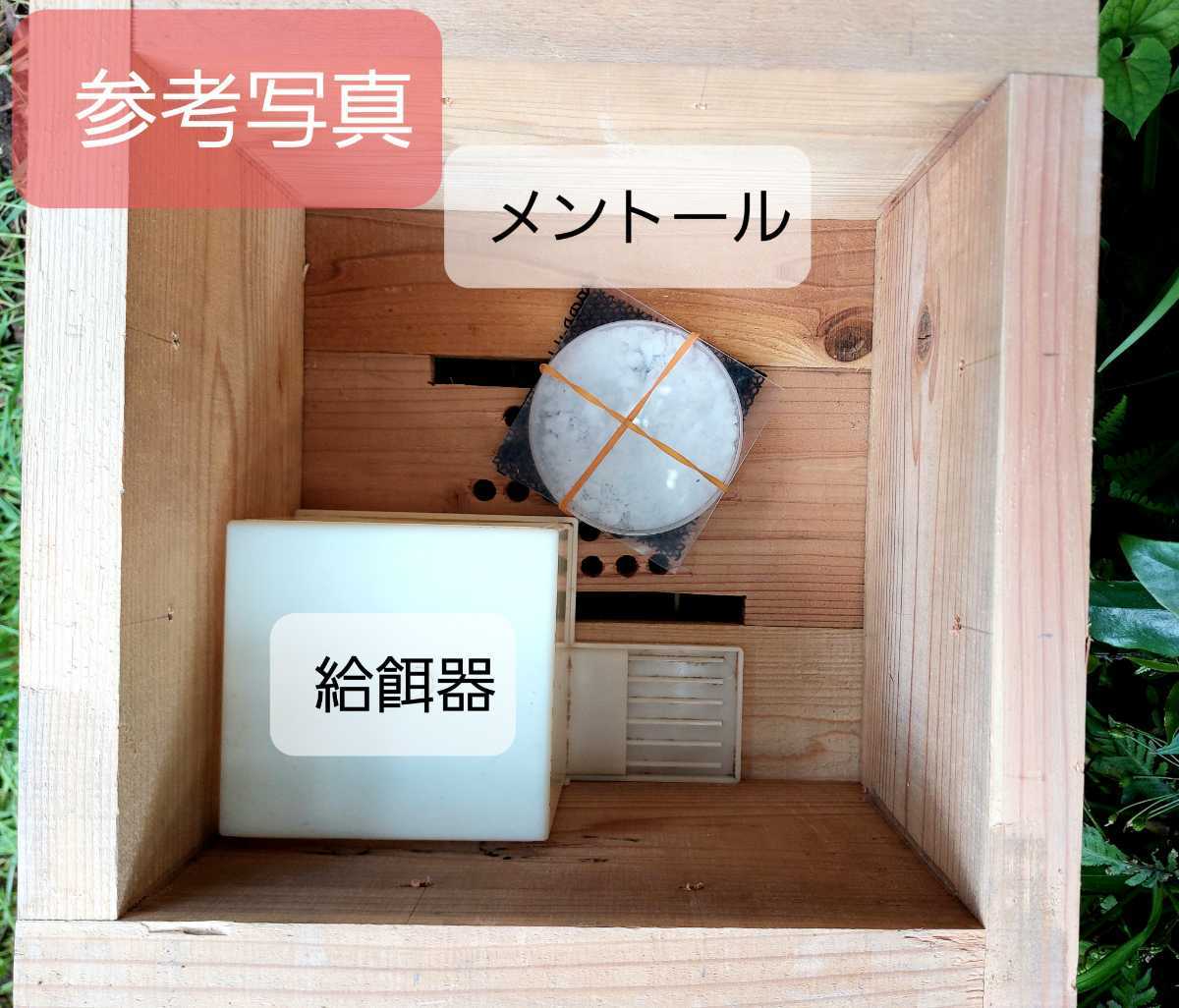 重箱式巣箱4段セット 日本蜜蜂巣箱 重箱式 基台+重箱4段 【公式通販】