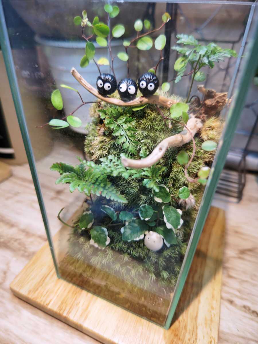 テラリウム　ジブリ 苔テラリウム☆トトロ☆ジブリ☆ハンドメイド☆フィギュア☆インテリア